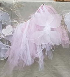 Fairy wings and tutu
