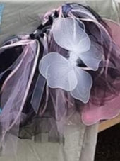 Fairy wings and tutu